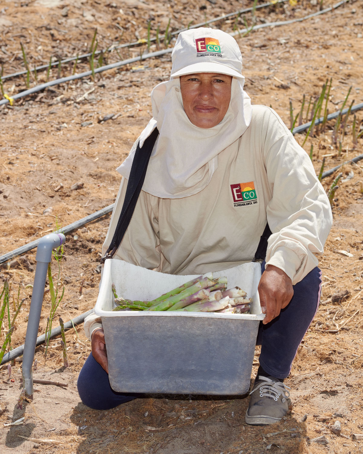 asparragus-field-worker-happy_4x5