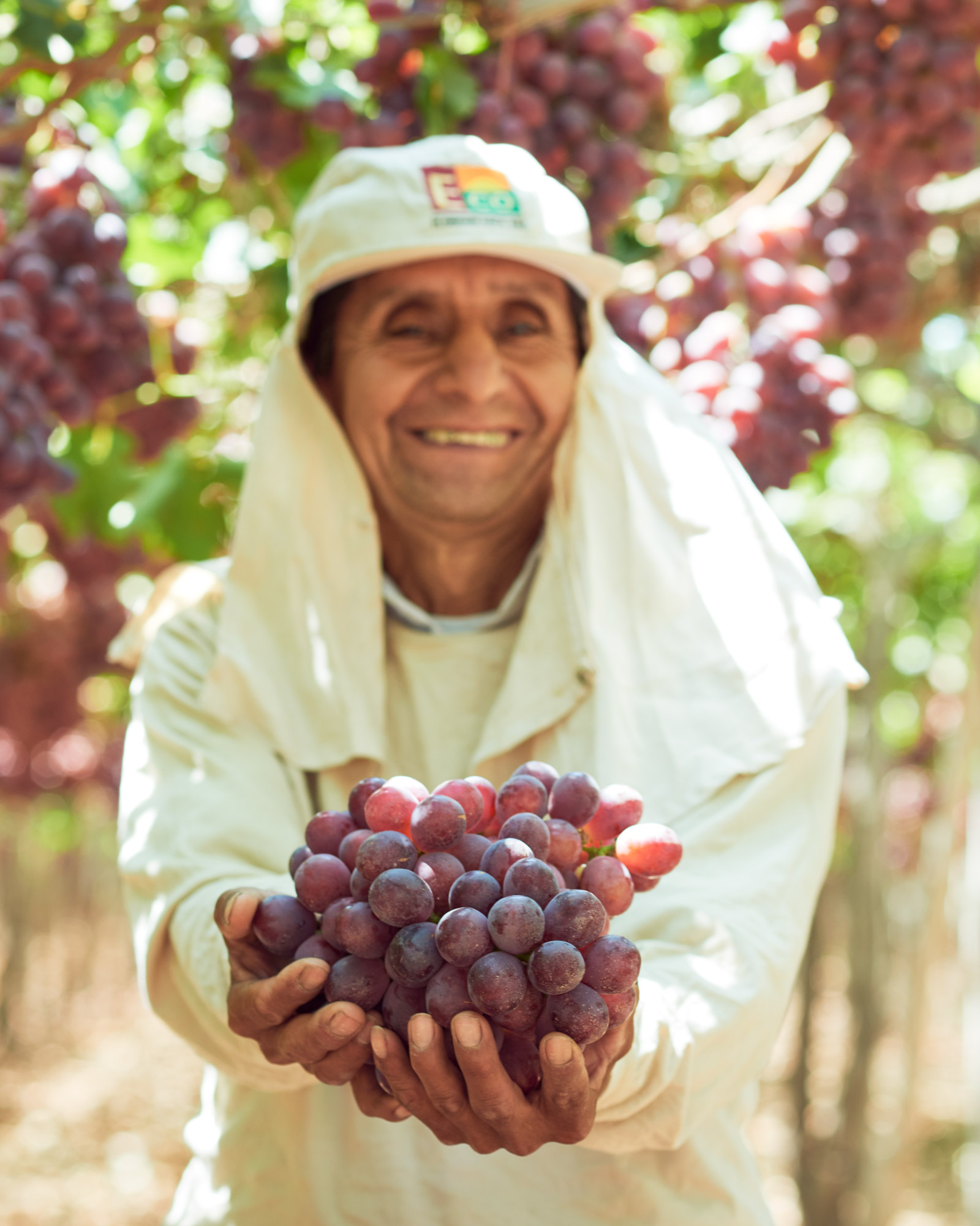 grapes-field-worker-happy_4x5